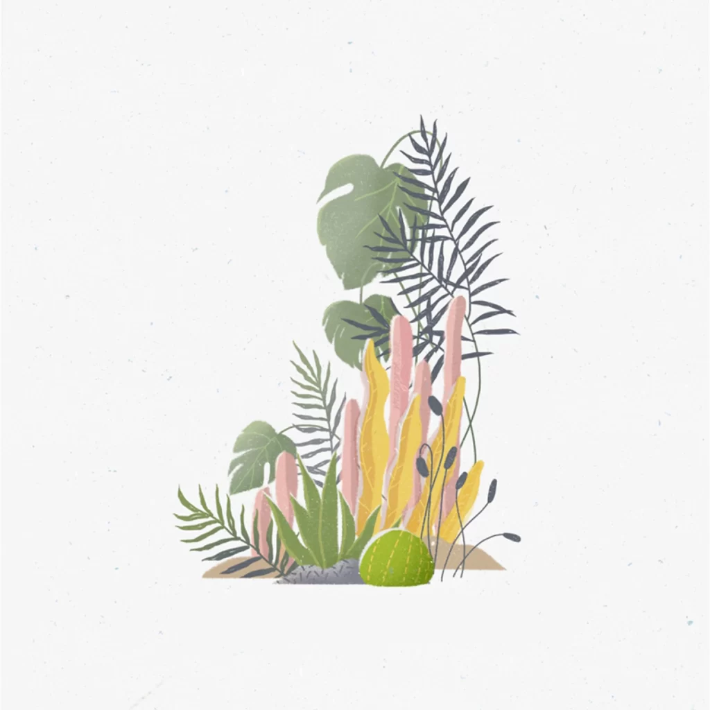 Tropical Plants Cactus Leaves