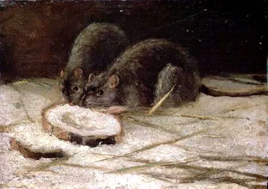 Two Rats Van Gogh