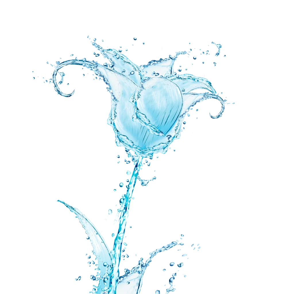 Water Flower Artistic Splash