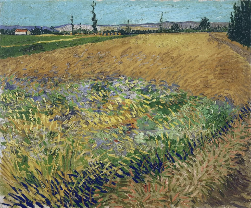 Wheat Field with the Alpilles Foothills in the Background Van Gogh
