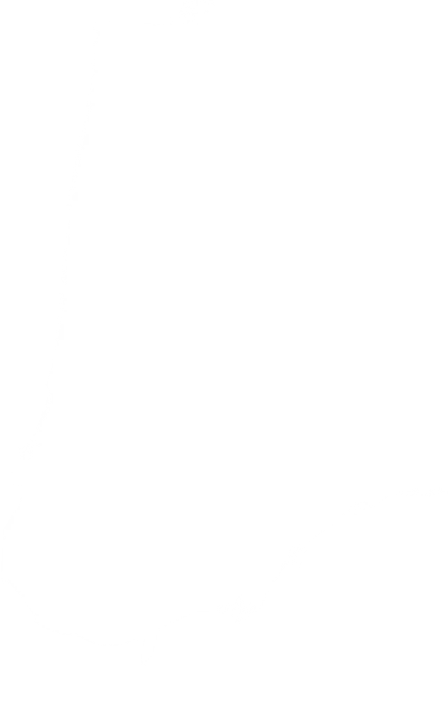 White Background Plain Empty Digital Blank