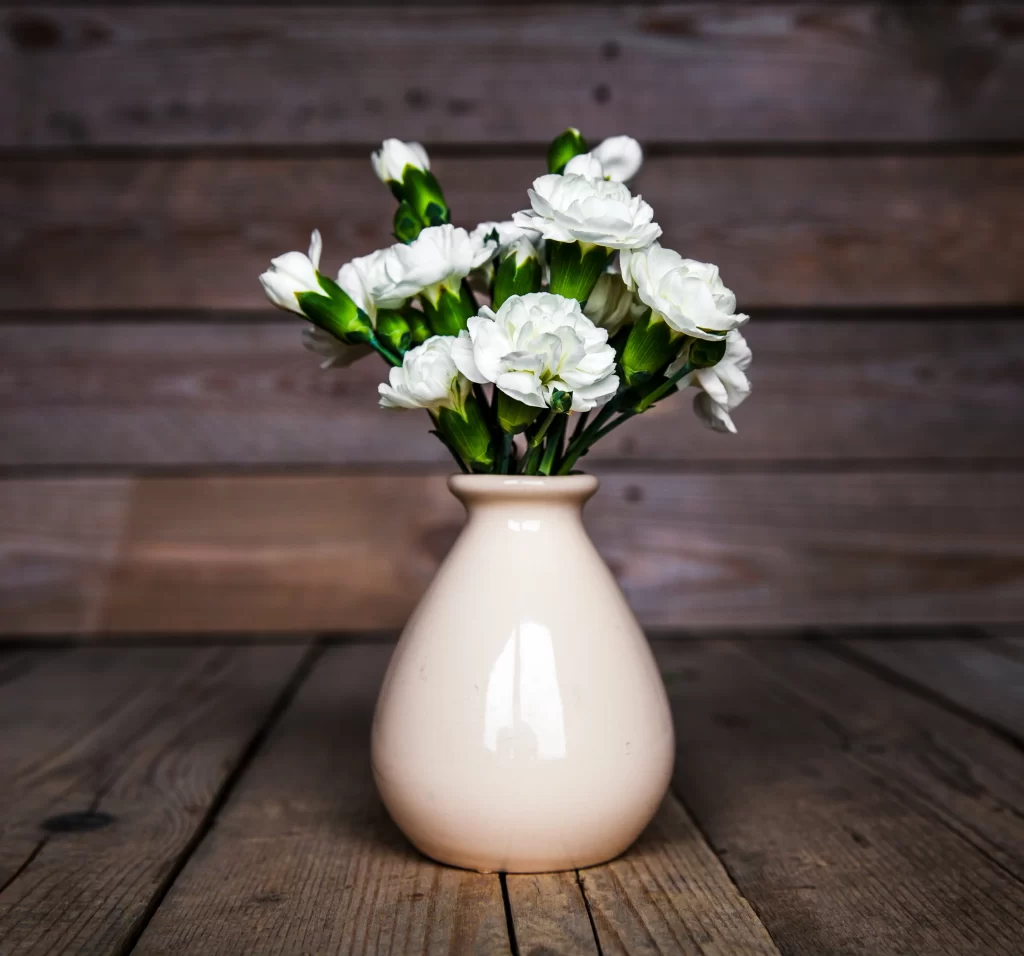 White Carnation Blooms Green Stems Vase