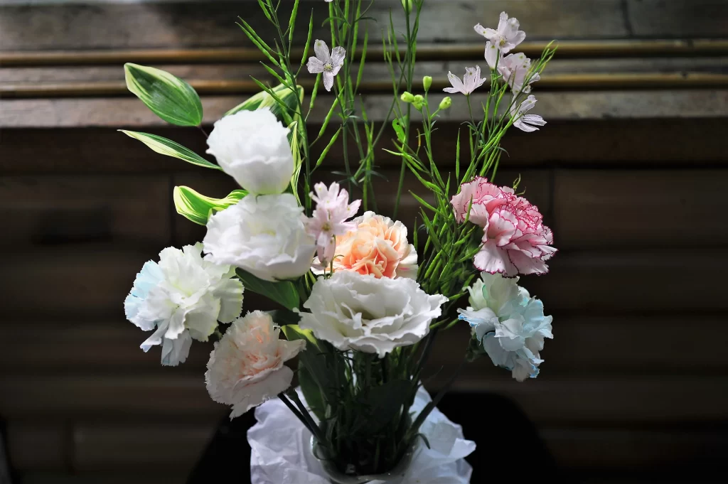 White Carnation Pink Peach Green Leaves