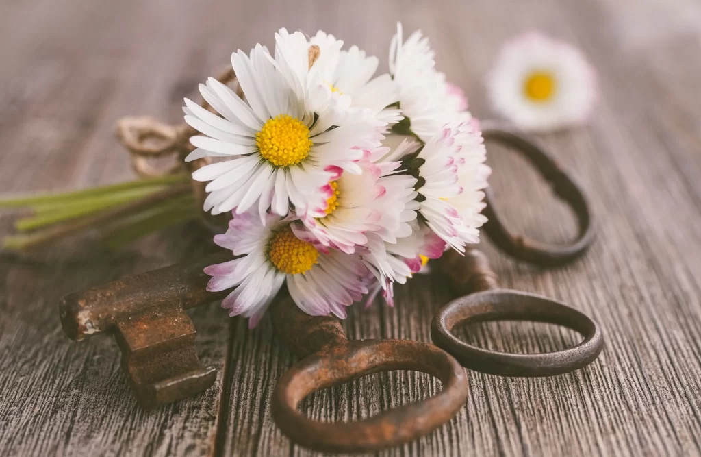 White Daisy Petals Yellow Center Rustic Keys
