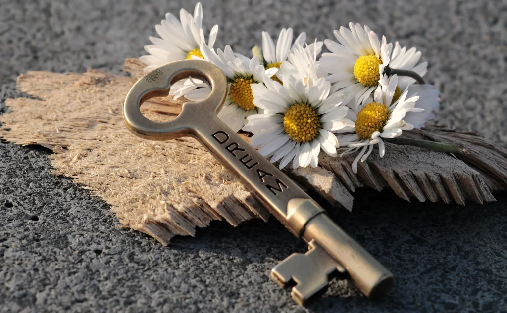 White Daisy Petals Yellow Center Rustic Driftwood