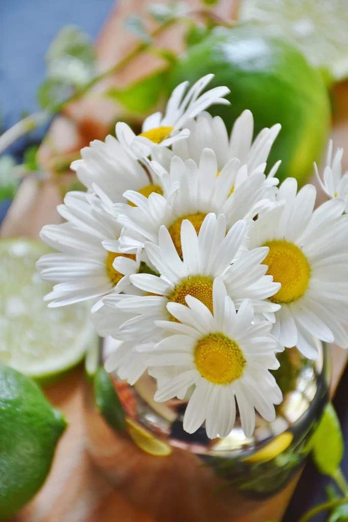 White Daisy Petals Yellow Center gray Vase
