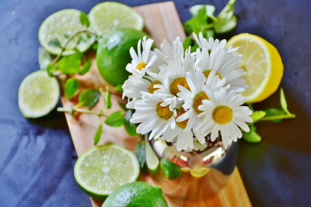 White Daisy Petals Yellow Center gray Vase