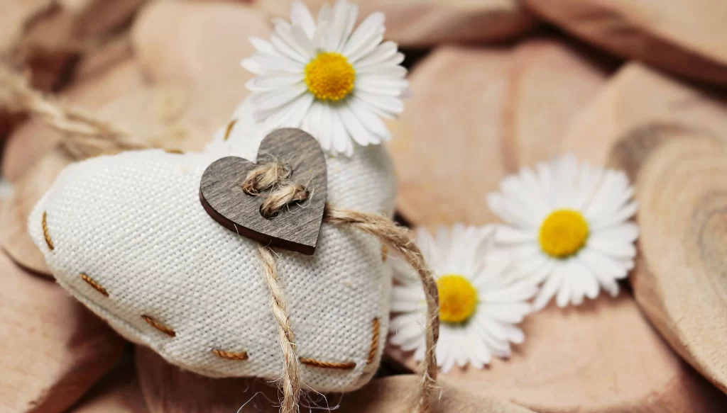 White Daisy Yellow Center Petals Heart