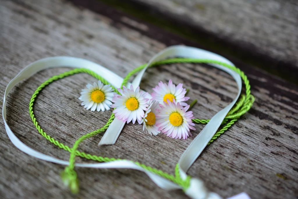 White Daisy Yellow Center Petals Green Ribbon