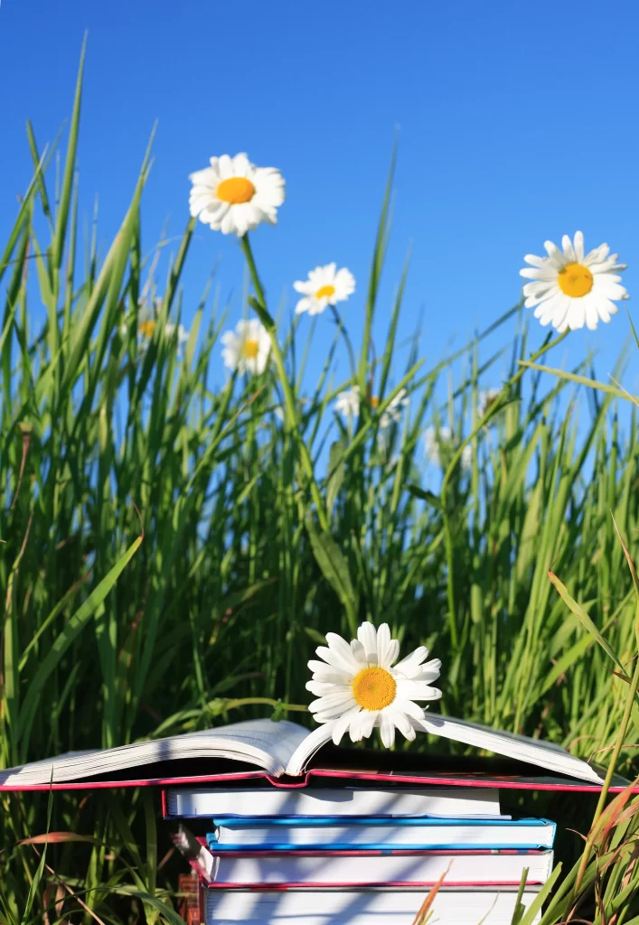 White Daisy Yellow Center Petals Blue Sky Green Grass