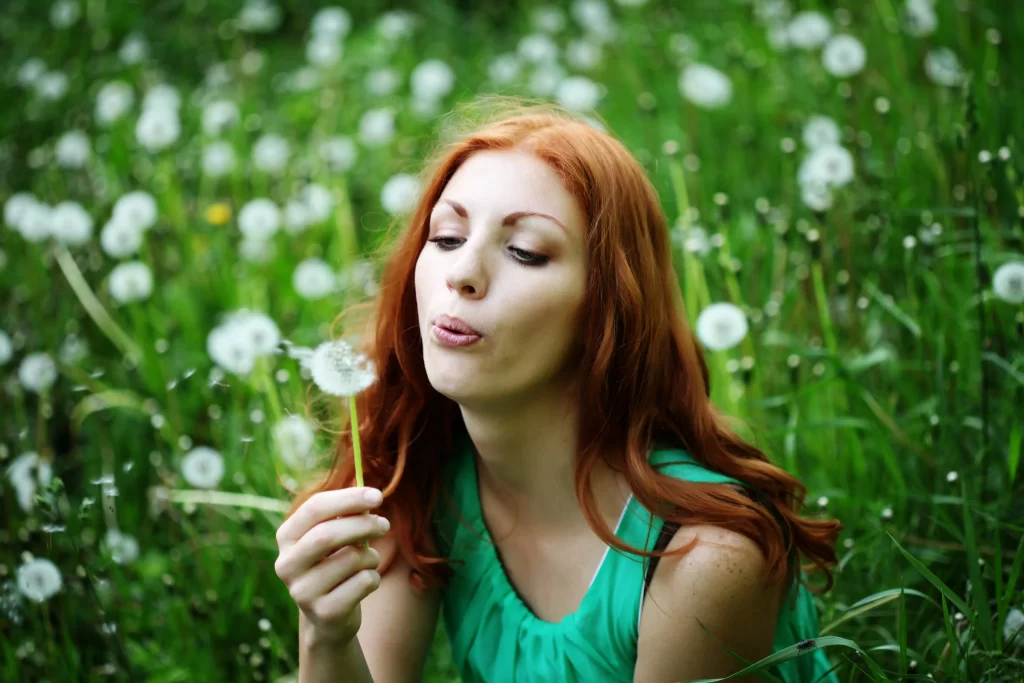White Dandelion Seed Head Green warm Grass