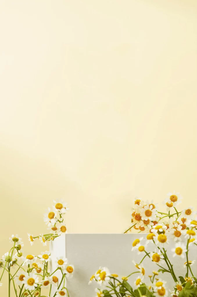 White Flowers Yellow Background