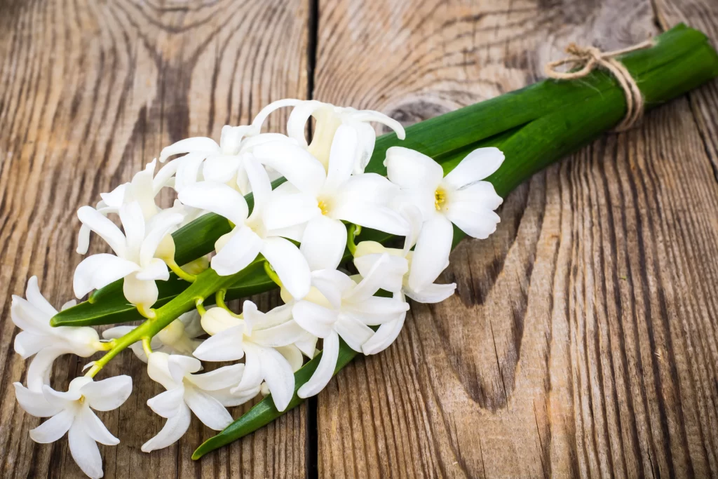 White Hyacinth Petals Green Stems Wooden Surface