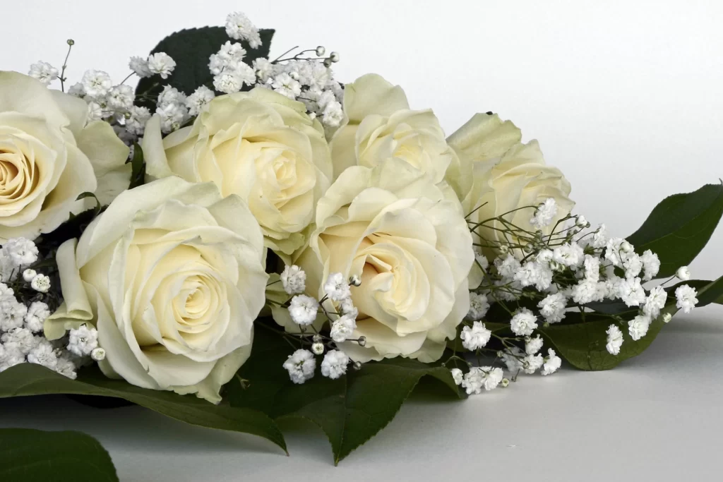 White Rose Petals Green Leaves White Flowers
