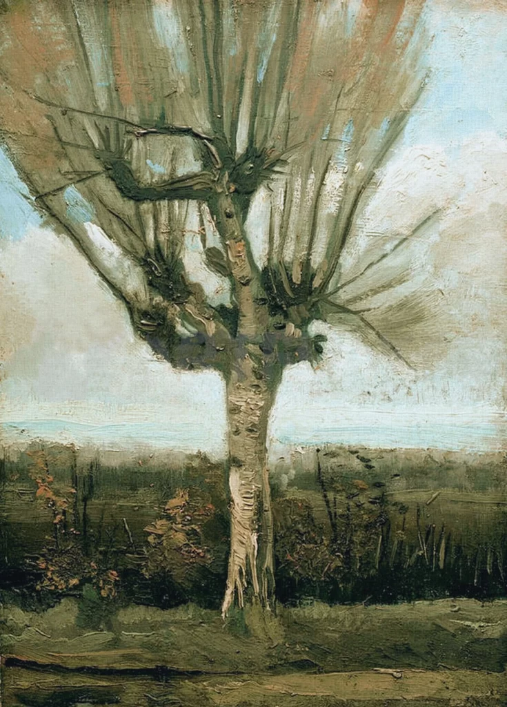 White Willow Van Gogh