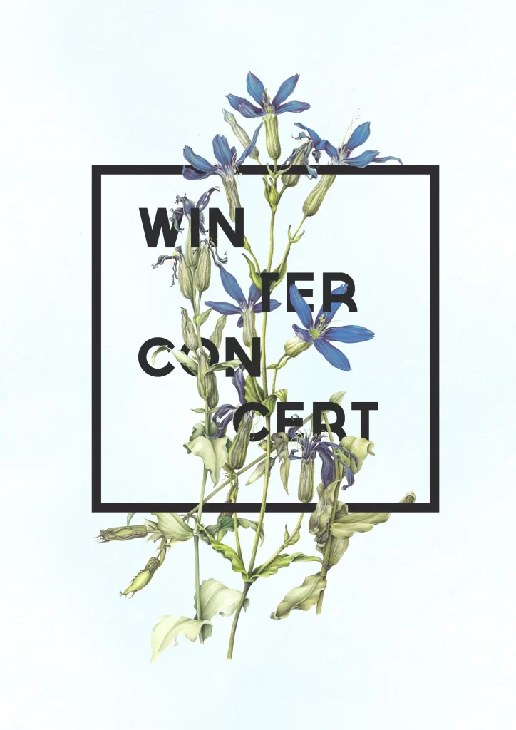 Winter Concert Flowers Nature
