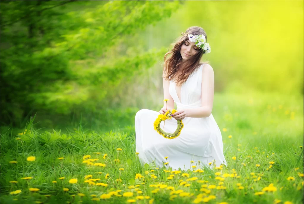 Yellow Dandelion Field Blooms Nature