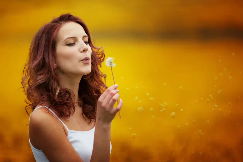 Yellow Dandelion Seed Head Delicate Feathers warm Nature