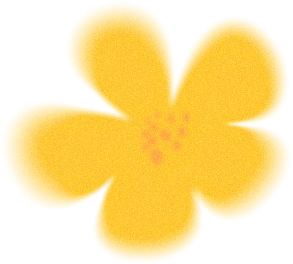 Yellow Flower Petals Center