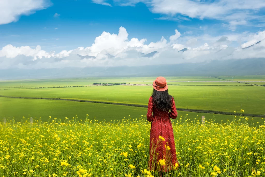 Yellow Rapeseed Field Blooming Green Grass Sky