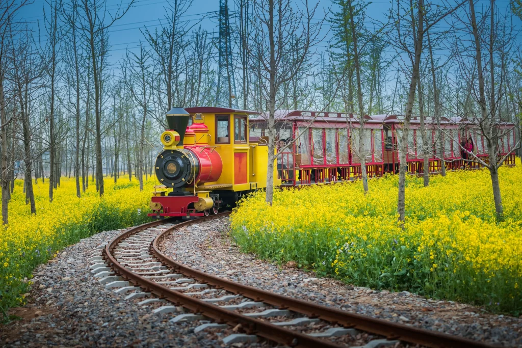 Yellow Rapeseed Flower Field Train Tracks
