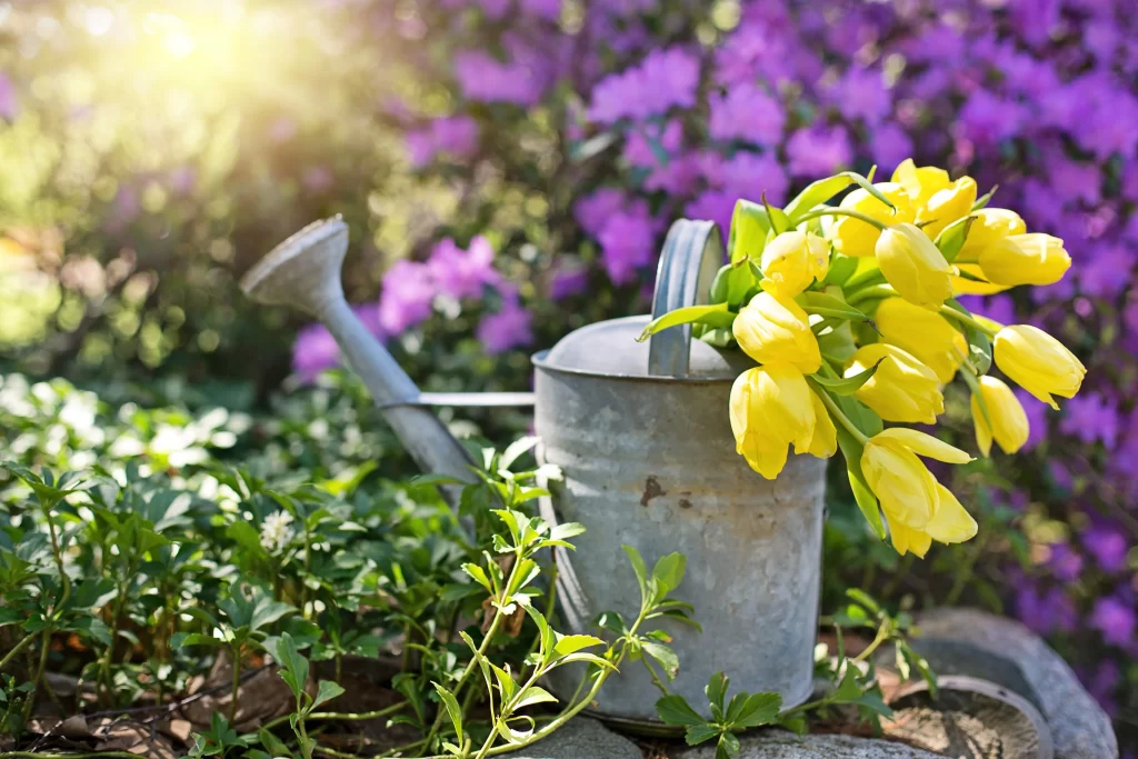 Yellow Tulip Bright Petals Green Leaves Rustic Vase