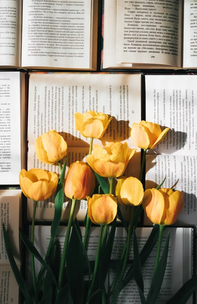 Yellow Tulip Vibrant Petals Sunlit Green Stems