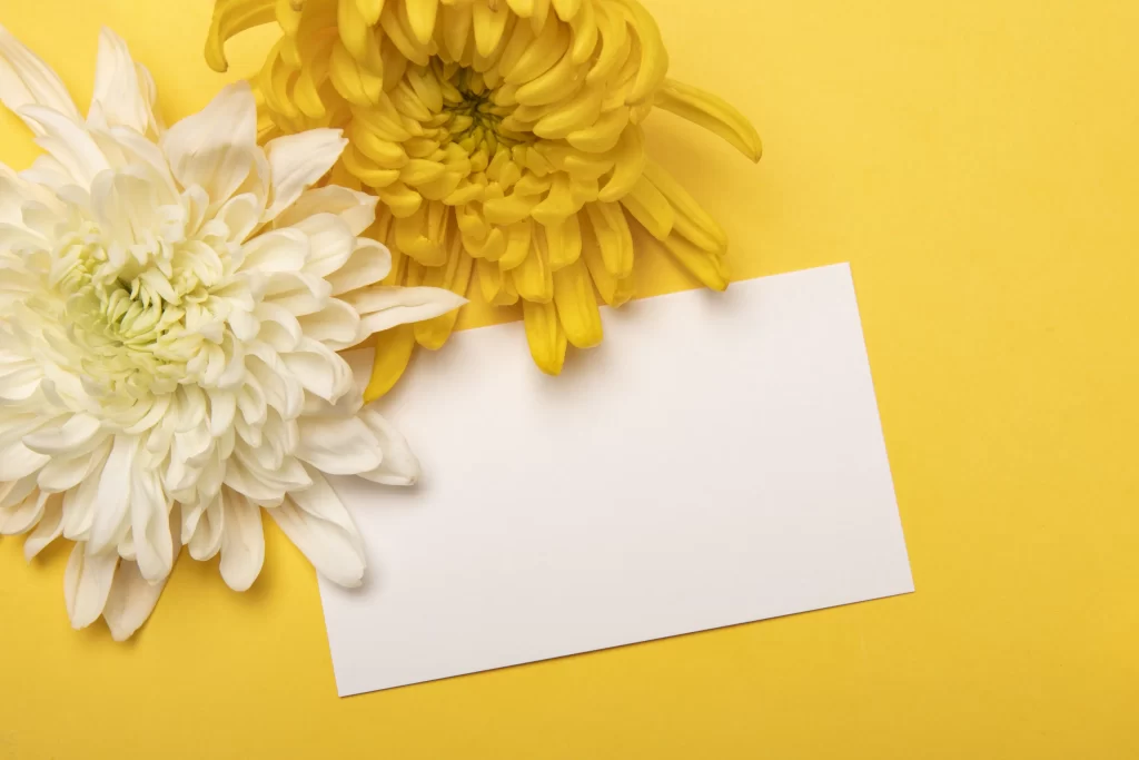 Yellow White Chrysanthemum Petals Card Background