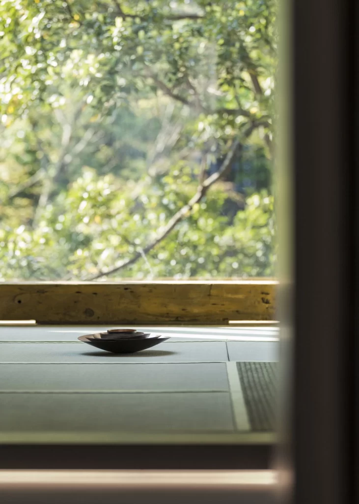 Zen Japanese Tea Room Green Wood Natural Light Simple