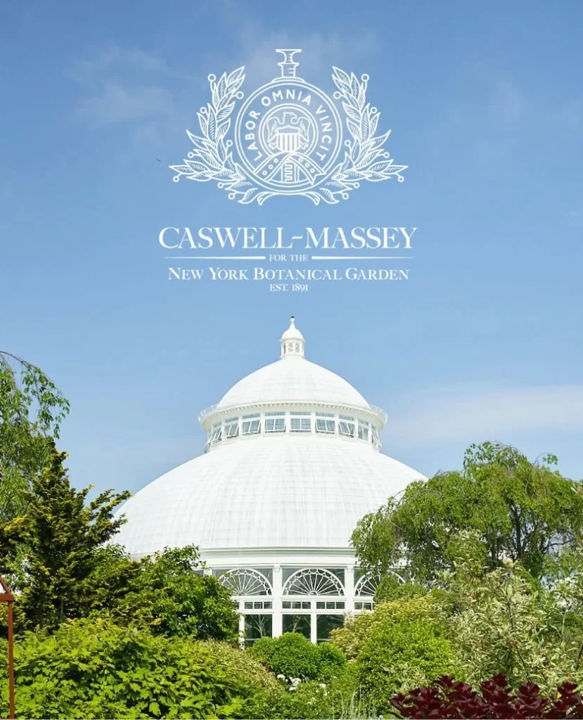 Caswell-Massey Skincare Packaging V7