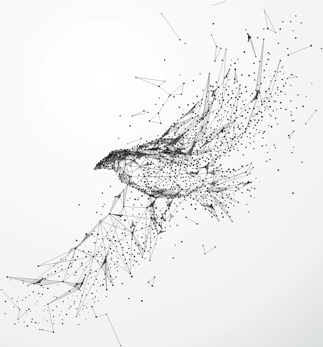 Bird Line Art