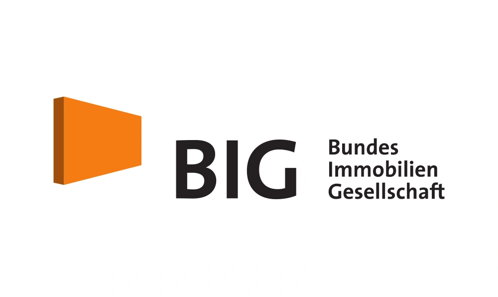 BIG Logo
