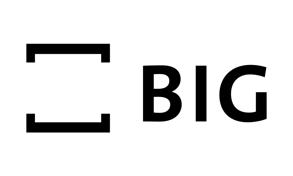BIG Logo