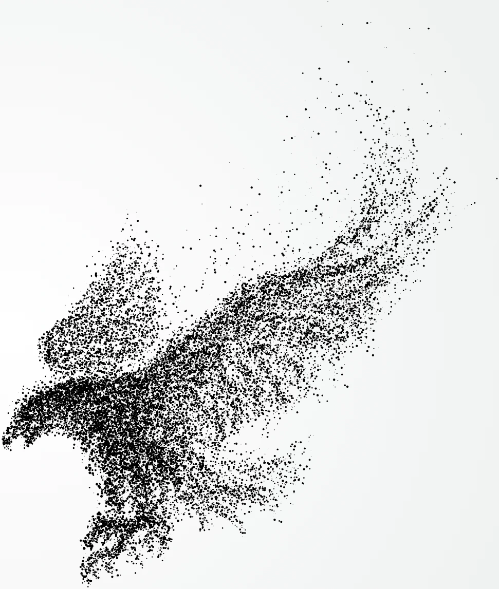 Bird Flight Stipple