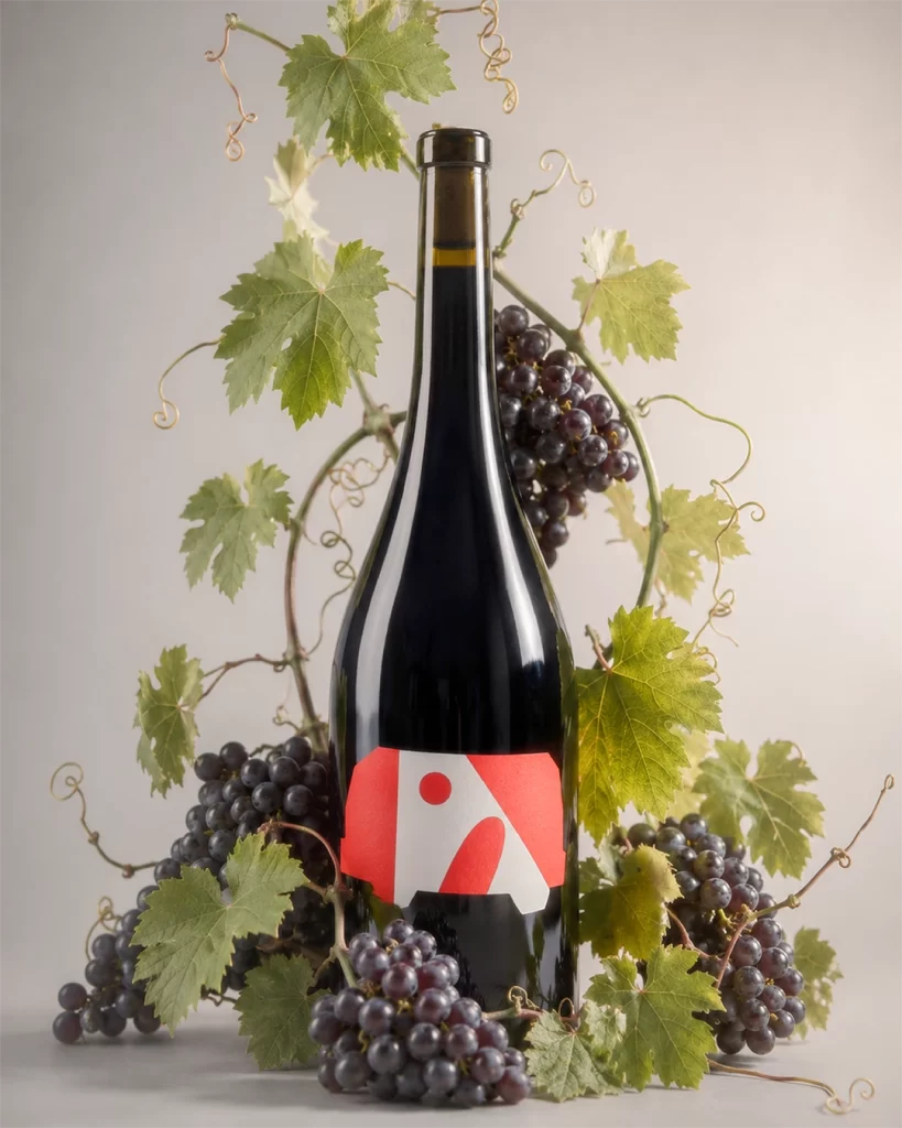 Kappabeta Winery Wine Bottle