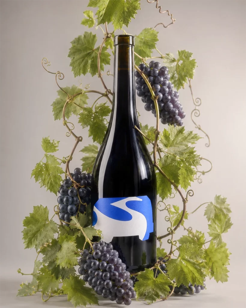 Kappabeta Winery Elegant Wine Bottle