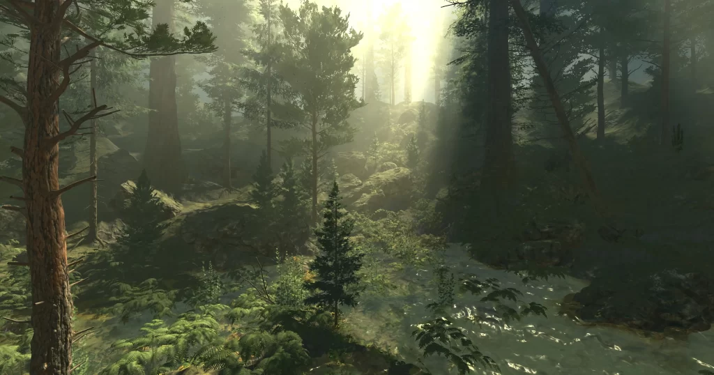 Forest Landscape 1080p Wallpaper