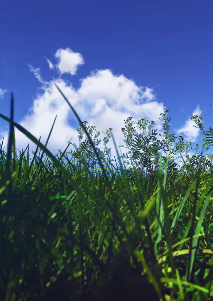 Landscape 2K Blue Red Wallpaper