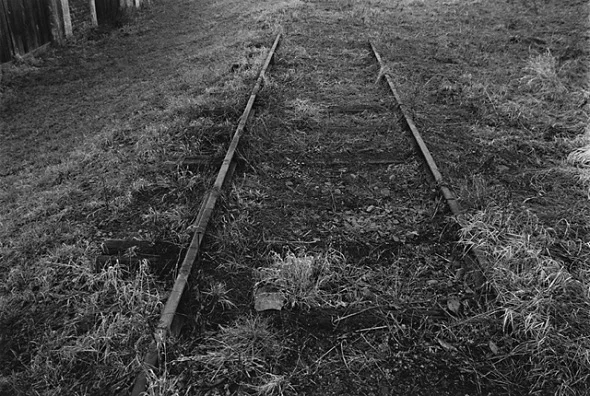 Abandoned Railway Tracks Overgrown Grass Monochrome Mysterious