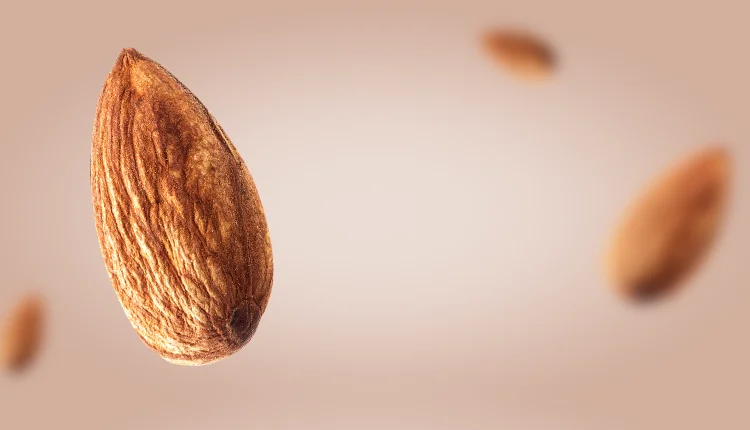 Almonds Brown Floating Soft Focus