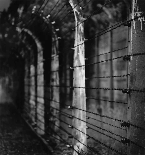Architecture Barbed Wire Fence Dramatic High Contrast Mysterious