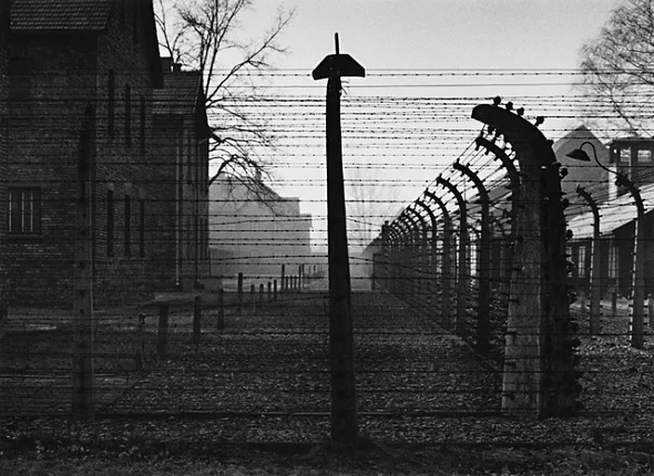 Architecture Barbed Wire Fence Dramatic High Contrast Mysterious