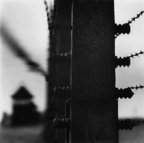 Architecture Barbed Wire Fence Rusty Bolted Structure High Contrast Mysterious