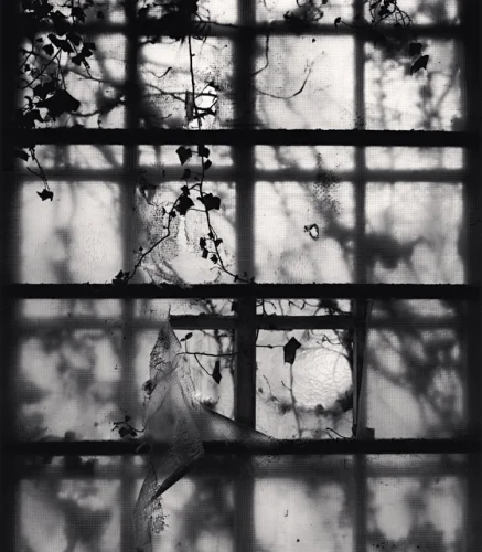 Architecture Broken Window Nature Shadows High Contrast Mysterious