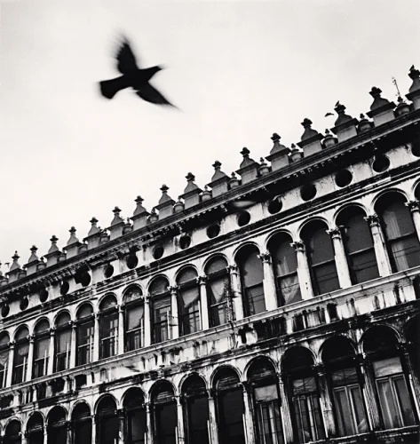 Architecture Dramatic High Contrast Mysterious Atmospheric Timeless