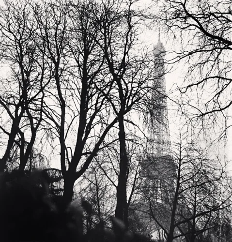 Architecture Dramatic High Contrast Mysterious Atmospheric Nature