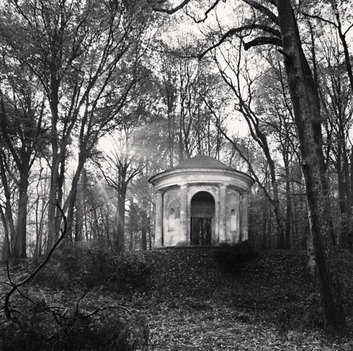 Architecture Dramatic Textured High Contrast Mysterious Forest