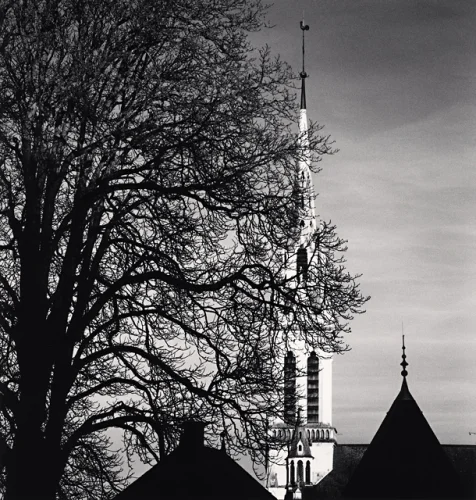Architecture High Contrast Dramatic Atmospheric Nature
