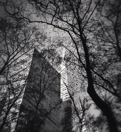 Architecture High Contrast Dramatic Textured Cityscape