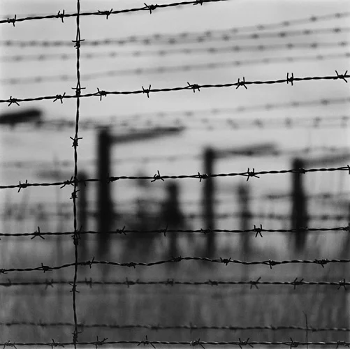Barbed Wire Fence Blurred Silhouette High Contrast Mysterious
